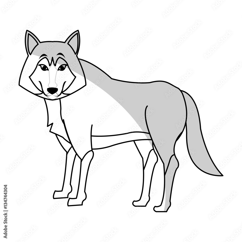 wolf cartoon icon over white background. vector illustration