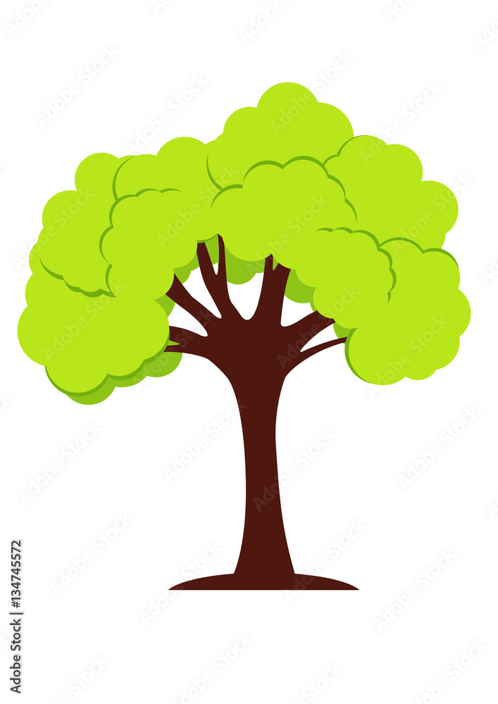 Arbre au feuillage vert