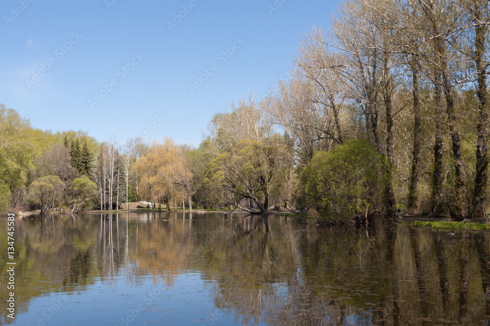 Spring landscape. Trees in urban park and their reflection in th