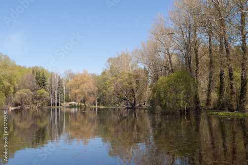 Spring landscape. Trees in urban park and their reflection in th