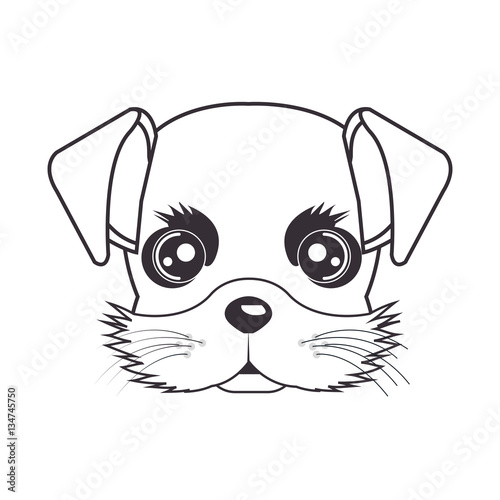 Fototapeta Naklejka Na Ścianę i Meble -  cute dog isolated icon vector illustration design