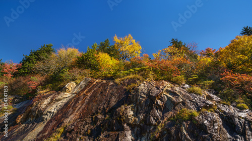 Fall on the Blue Ridge Parkway