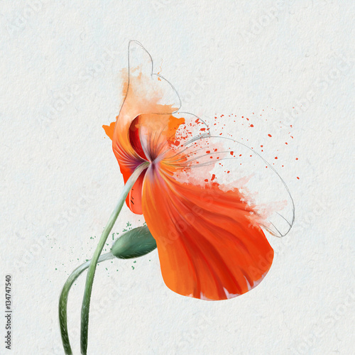Beautiful red poppy, bent under the force of the wind, with blowing paint. Effect sketch.