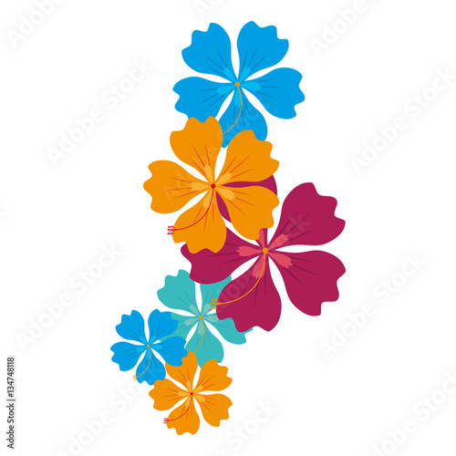Fototapeta Naklejka Na Ścianę i Meble -  hawaii floral decoration icon vector illustration design