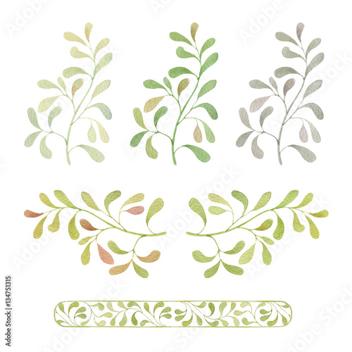Watercolor set of green branches and border © evakaterina