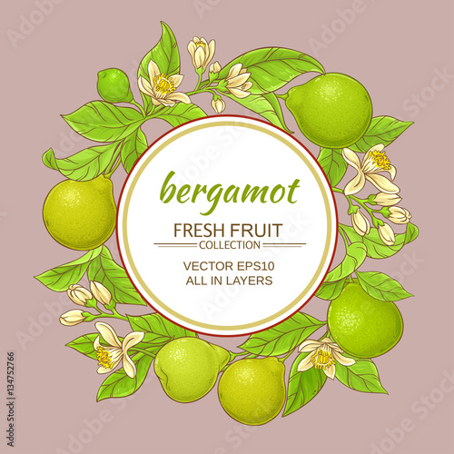 bergamot vector frame photo