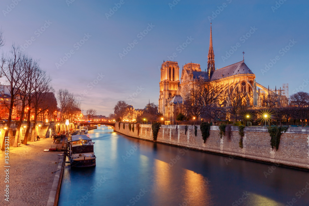 Fototapeta premium Paris. Notre Dame.