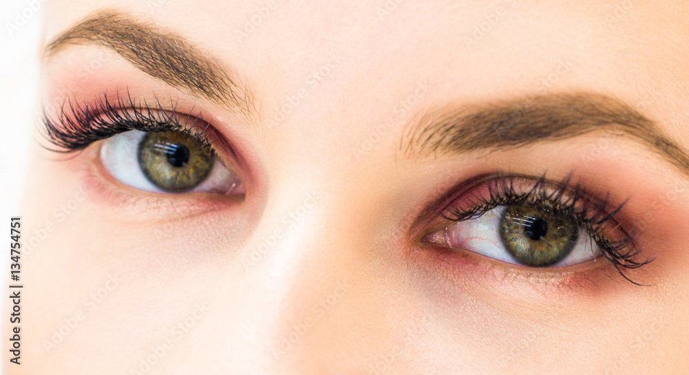 Close-up of eyebrows and eyes on a light background Close-up of eyebrows and eyes on a light background