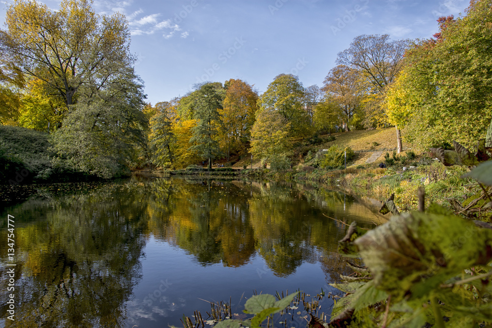 Autumn in the City of Hamburg 