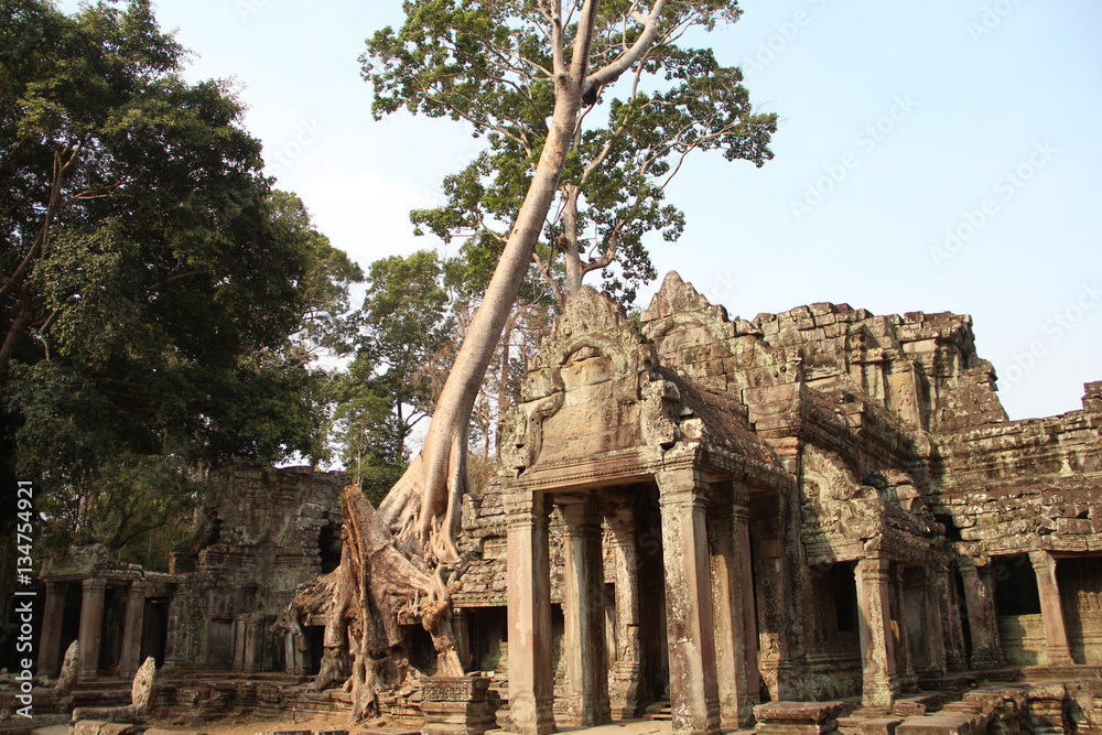 temple ruin angkor