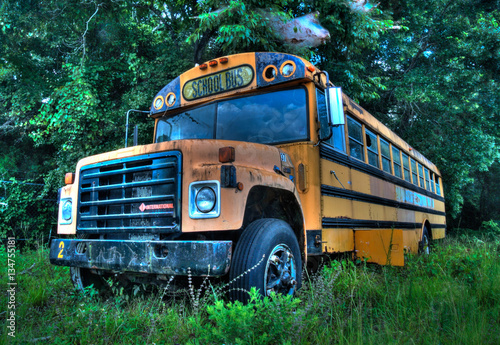 Old Decrepit School Bus left out in the woods to rust away