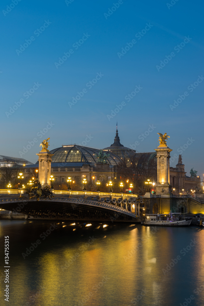 Fototapeta premium Bridge of the Alexandre III, Paris