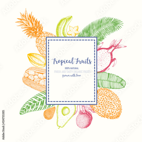 Label with tropical fruits. Vintage vector illustration. Exotic fruits hand-drawn sketch.