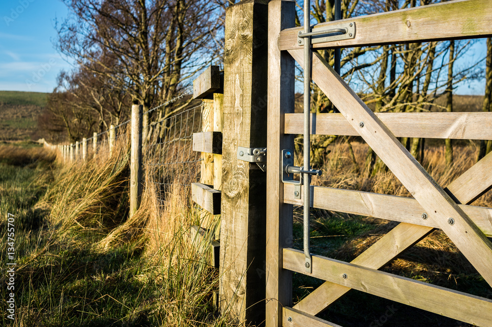 Wooden gate and fence