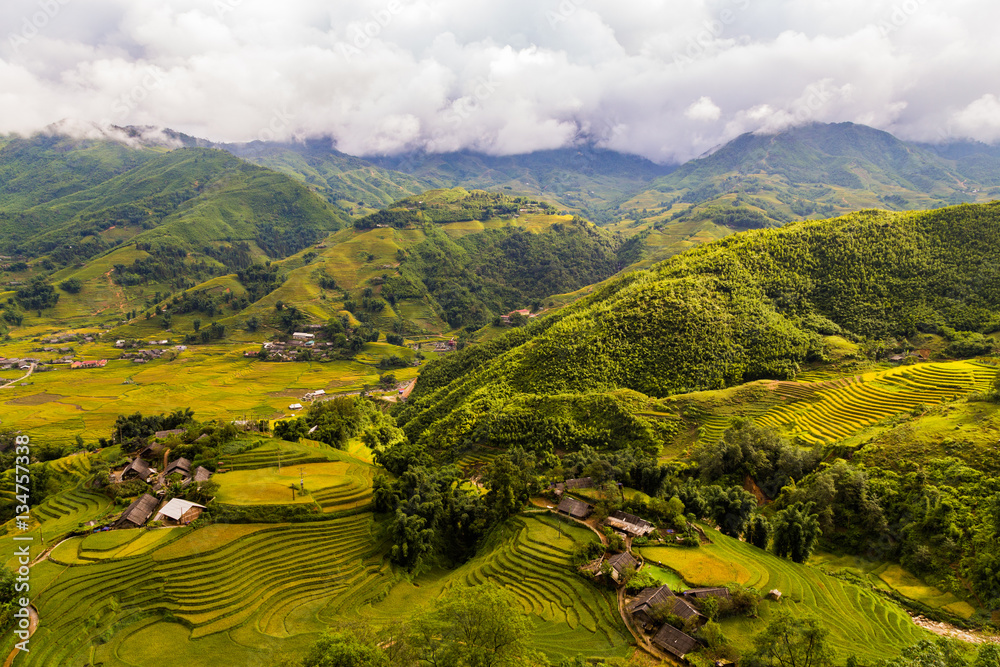 Rice fields in a valley in Vietnam