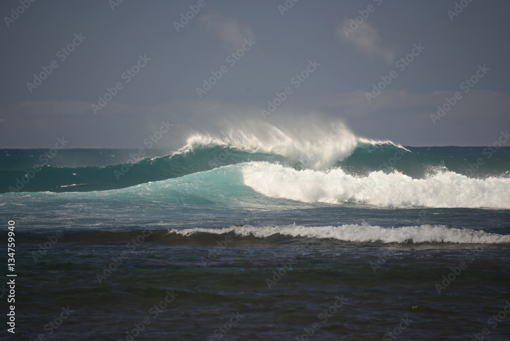 Kauai Windblown Surf I