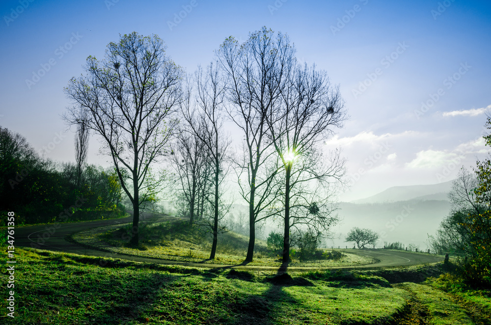 Autumn landscape, tree in backlight of the sun, the road leading Autumn landscape, tree in backlight of the sun, the road leading