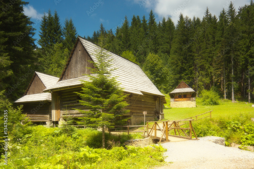 Obraz premium Old rural woody houses in Slovakia