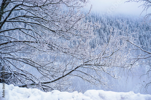 Traumhafte Winterlandschaft im Schwarzwald © familie-eisenlohr.de