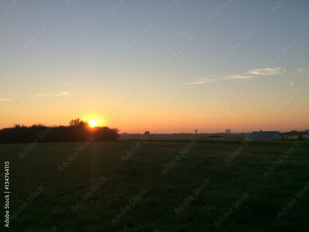 field sunset