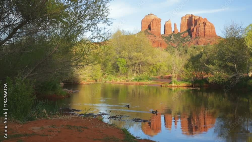 Panning view of ducks swimming in Oak Creek with Cathedral Rock reflecting in the water, a little before sunset; near Sedona, Arizona.