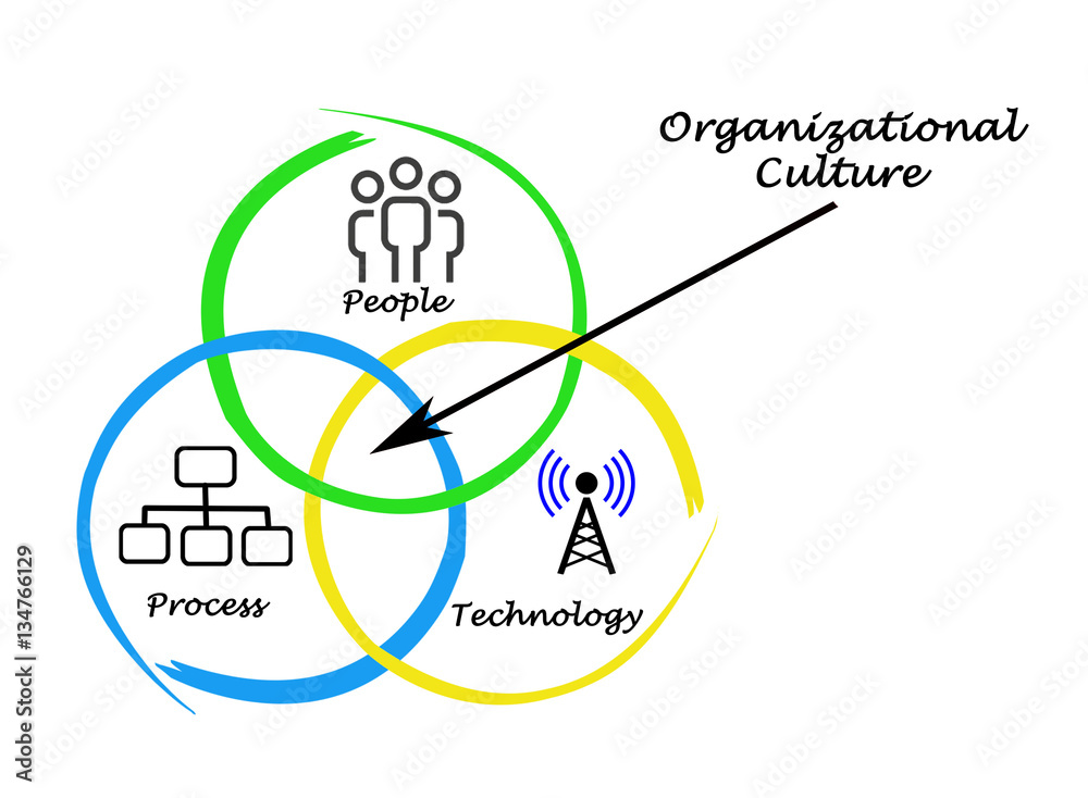 Obraz premium Diagram of Organizational Culture