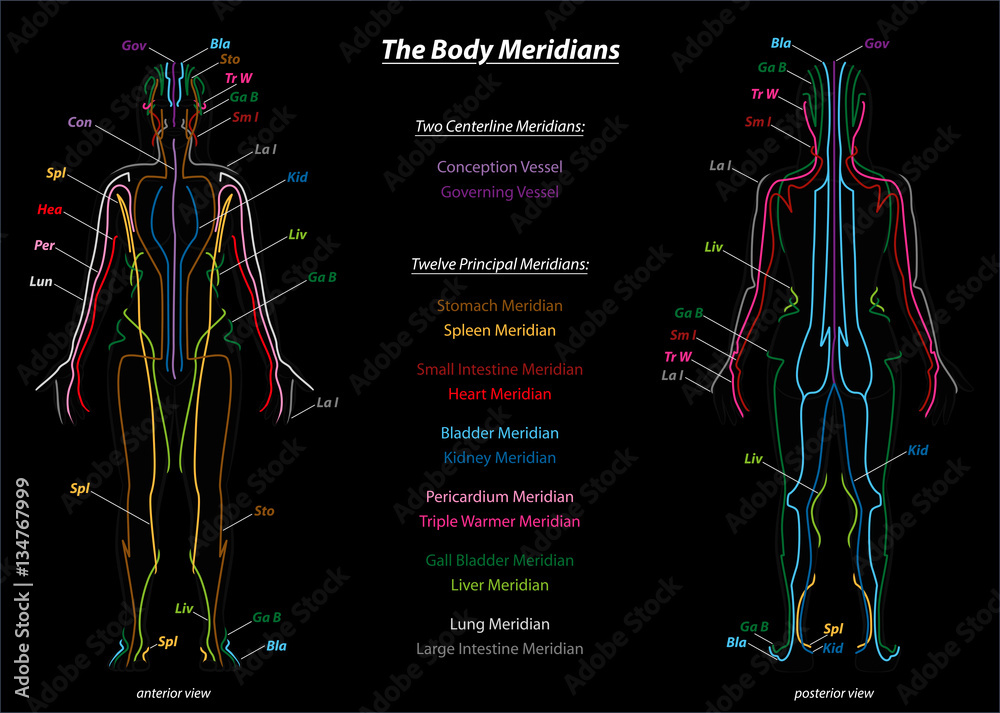 Woman with body meridians and their names - front and back view - black