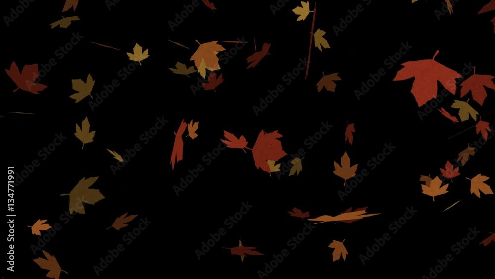 Autumn Leaves falling down in slow motion over black background ...