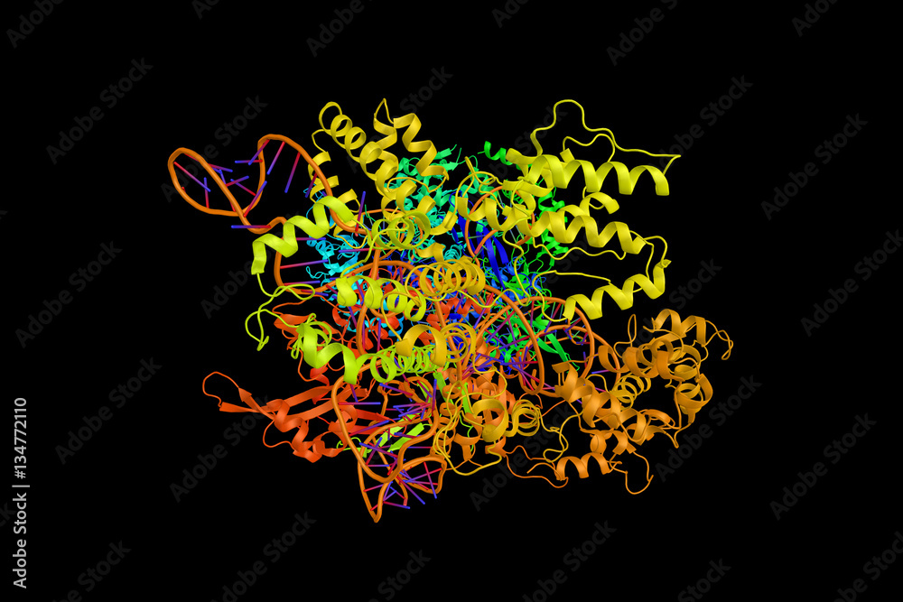 CRISPR-CAS9 (3d structure), a gene editing complex. CRISPR are s