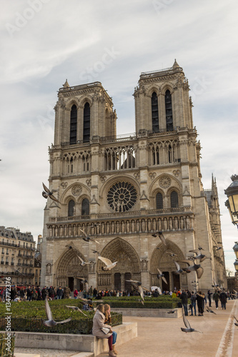 Notre Dame de Paris Cathedral front view with doves, Paris. France