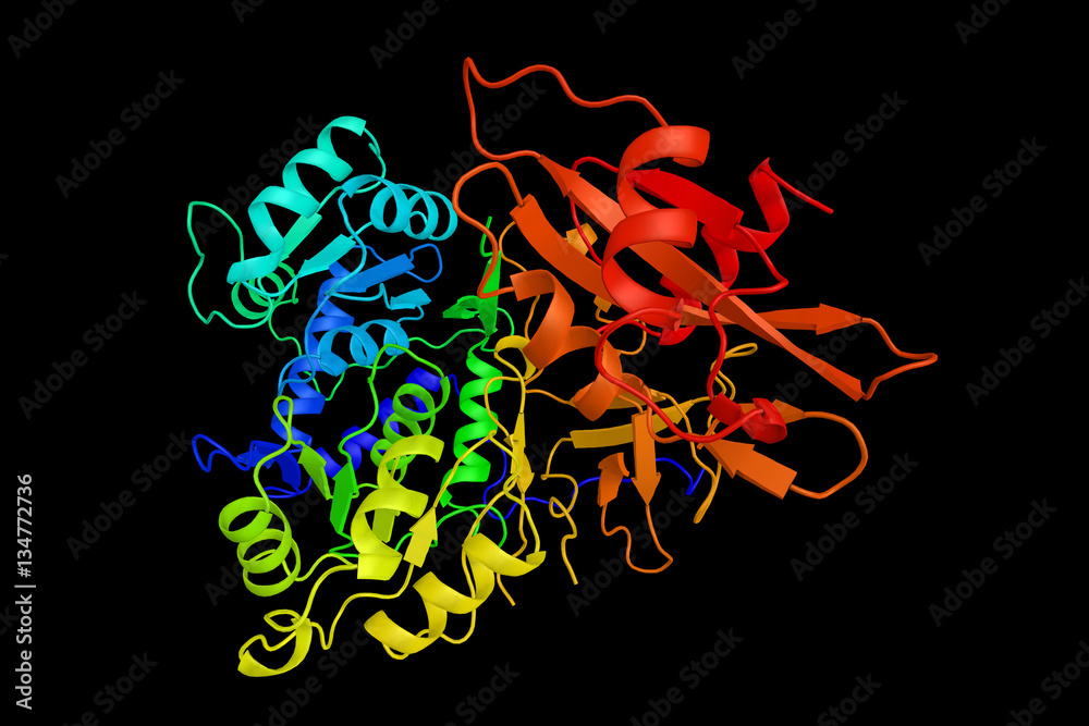 Luciferase (3d structure), oxidative enzyme that produces biolum Stock Illustration Adobe Stock