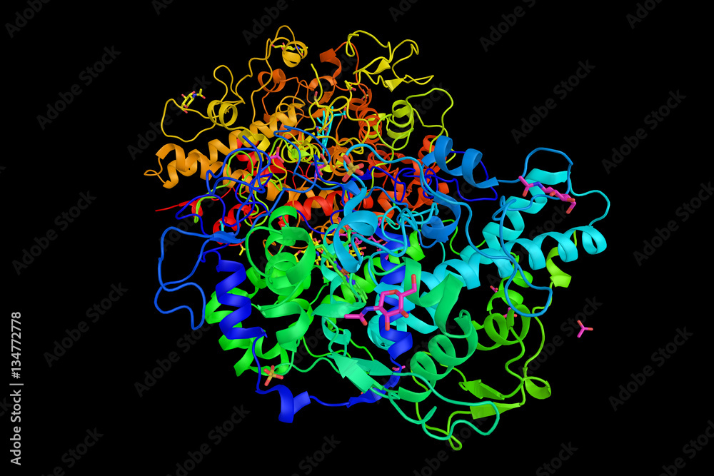 Myeloperoxidase (MPO), an enzyme which oxidizes tyrosine to tyro
