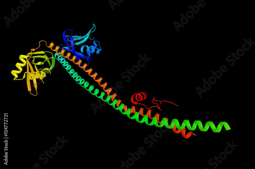 LIG4, an ATP-dependent DNA ligase that joins double-strand break