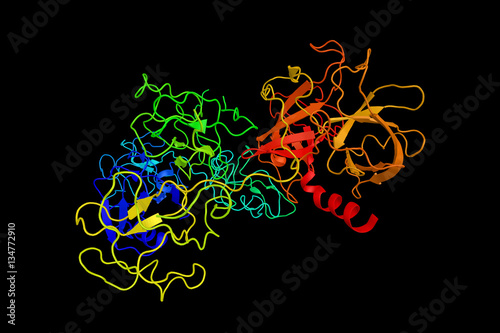 Plasminogen (PLG), a zymogen released from the liver into the fa photo