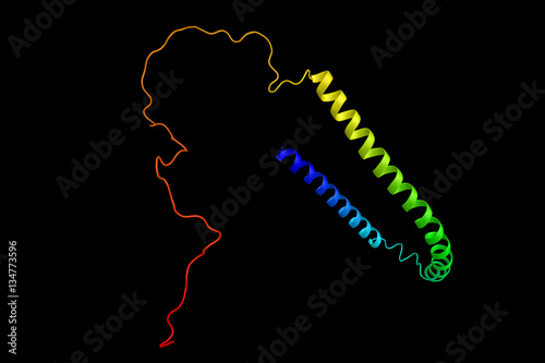 Alpha-synuclein (3d structure), which functions as a molecular c photo