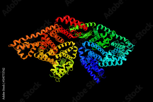 Bovine serum albumin, a serum albumin protein derived from cows. photo