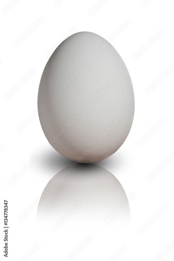 Bright egg close up with reflection and shadow isolated on white background Bright egg close up with reflection and shadow isolated on white background
