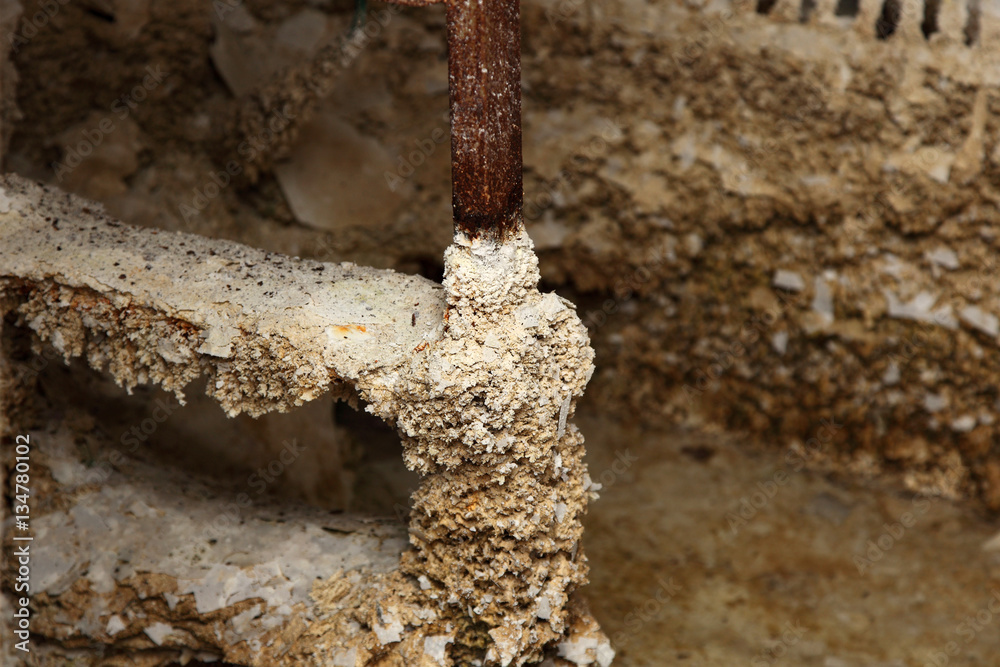 Fototapeta premium Ladder limestone