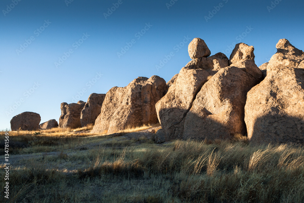 City of Rocks State Park, NM, USA