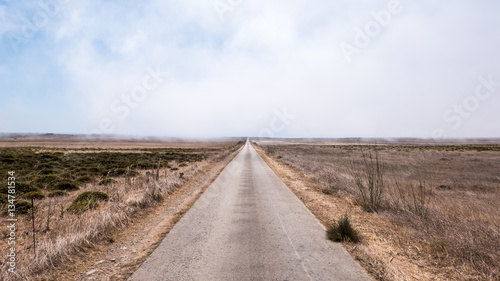Misty Straight Road in Portuguese Plains