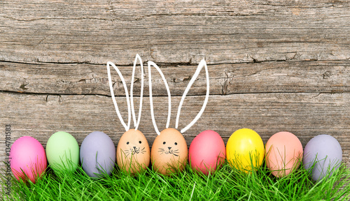 Photography Easter eggs cute bunny Funny decoration Happy Easter