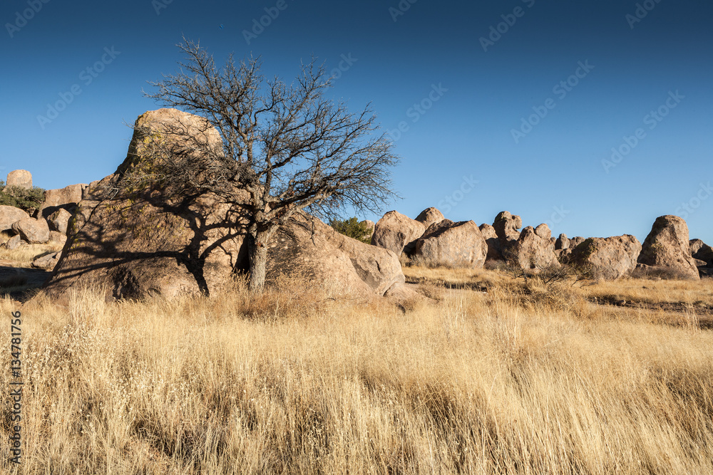 City of Rocks State Park, NM, USA City of Rocks State Park, NM, USA
