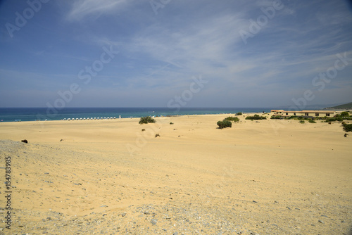 Cuadro en lienzo mare e dune di piscinas