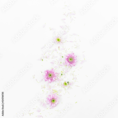 Valentine's background. Floral pattern of pink flowers isolated on white background, Flat lay, Top view