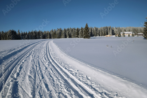 Winter landscape and trails for skiers © murmakova