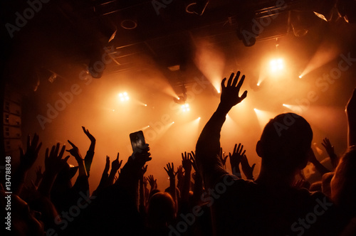 Hand fans raised up, during a concert