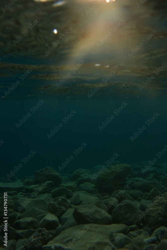 Fototapeta premium Underwater view of seabed.