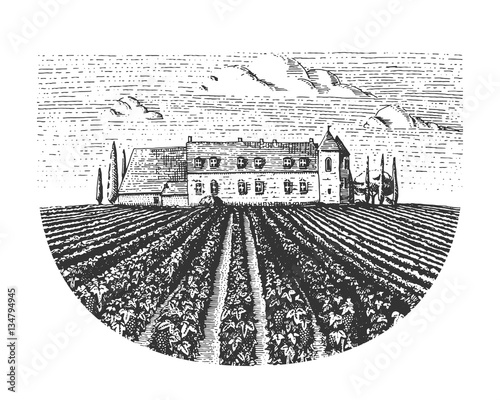 Vintage engraved, hand drawn vineyards landscape, tuskany fields, old looking scratchboard or tatooo style