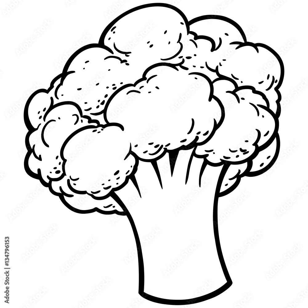 Cauliflower Illustration Cauliflower Illustration