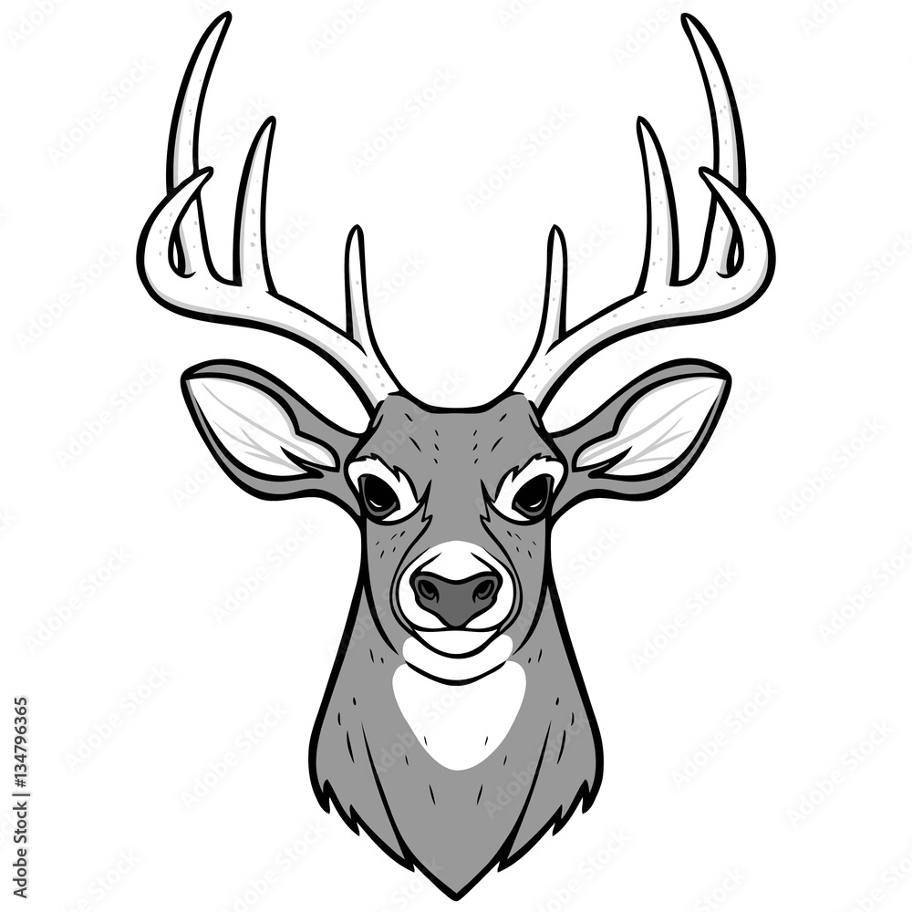 Naklejka premium Ilustracja głowa jelenia